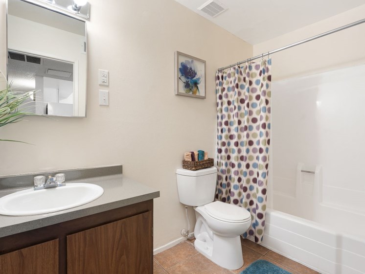 Bathroom at Copper Creek in Tucson, AZ